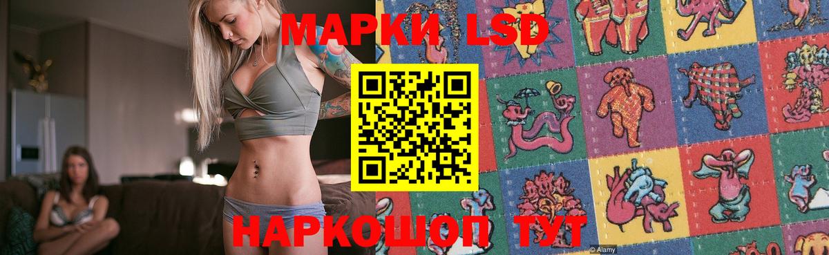 LSD-25 экстази кислота  ЛСД экстази ecstasy  Новокубанск  Вход с VPN 