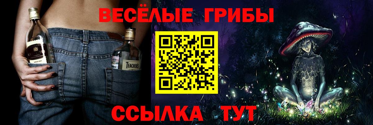Галлюциногенные грибы Psilocybine cubensis Новокубанск