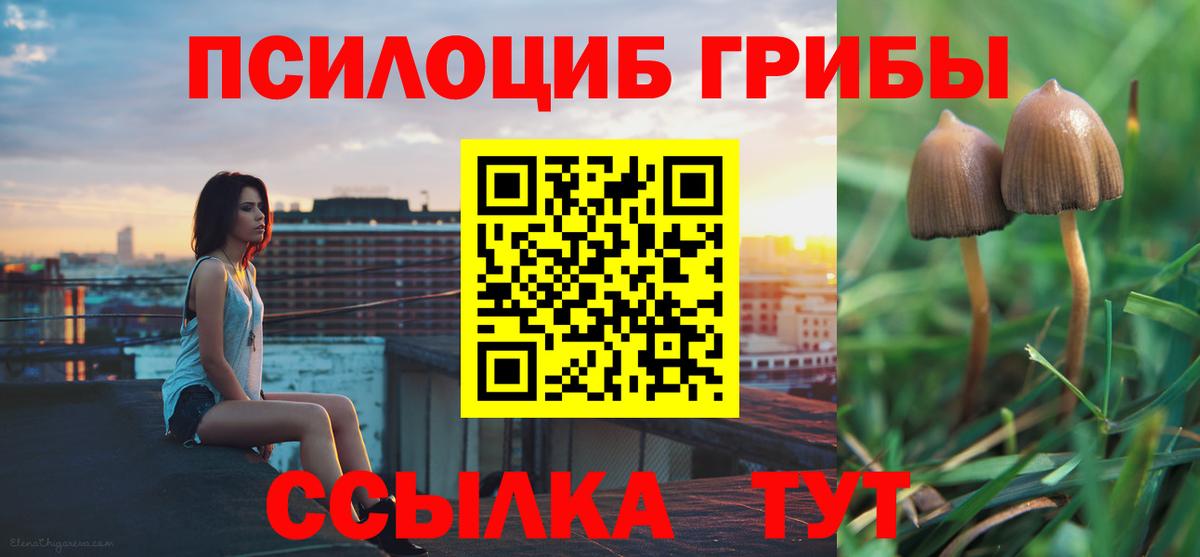 Новокубанск  Псилоцибиновые грибы Magic Shrooms  Галлюциногенные грибы прущие грибы  Вход с VPN 
